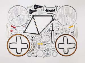 dissection_Todd_McLellan00 dissection_Todd_McLellan00